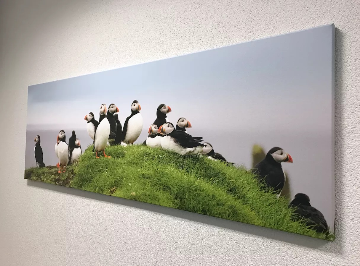 Schermafbeelding-2017-02-02-om2